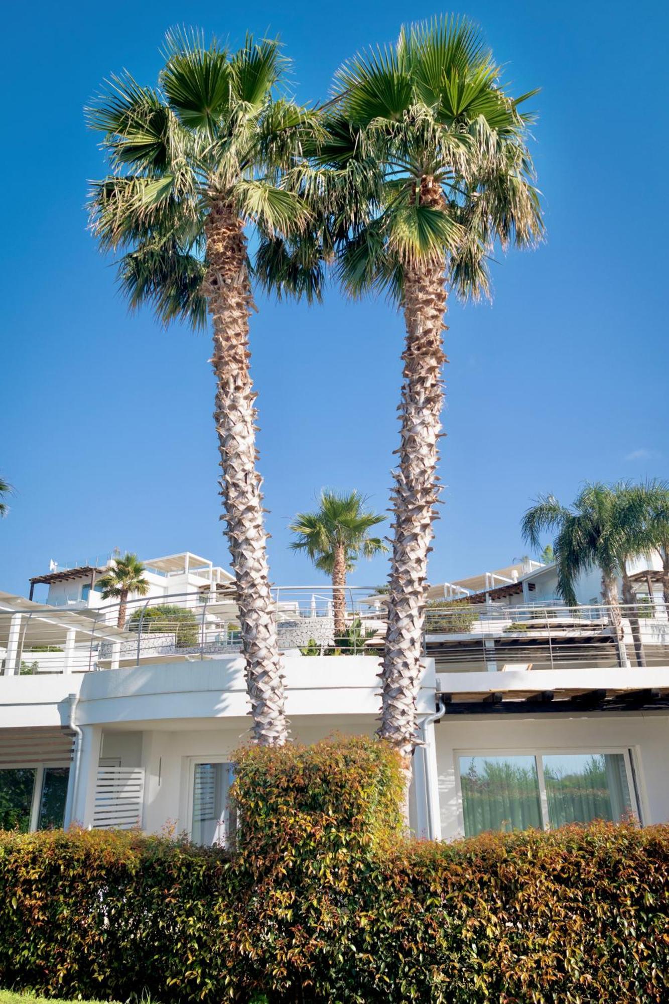 Infinity Resort Tropea Паргелия Екстериор снимка